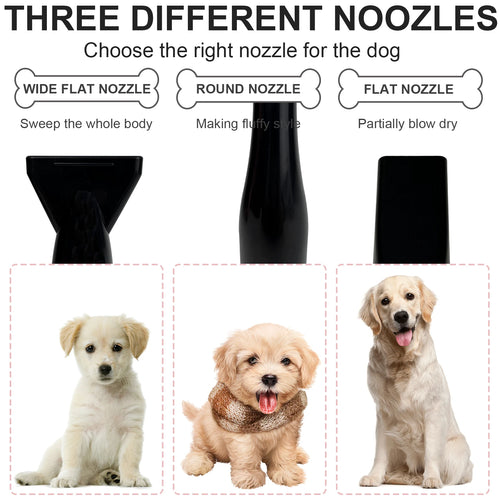 Professional 2800W Low Noise Dog Hair Dryer with 3 Nozzles and Extendable Hose for Grooming and Fur Drying