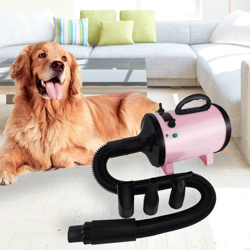 Professional 2800W Low Noise Dog Hair Dryer with 3 Nozzles and Extendable Hose for Grooming and Fur Drying